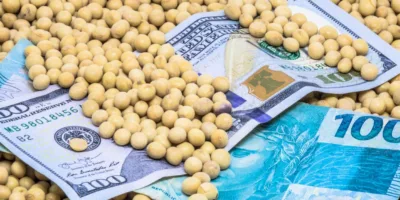 SNAG11 anuncia dividendos de 17,52% ao ano; veja valor