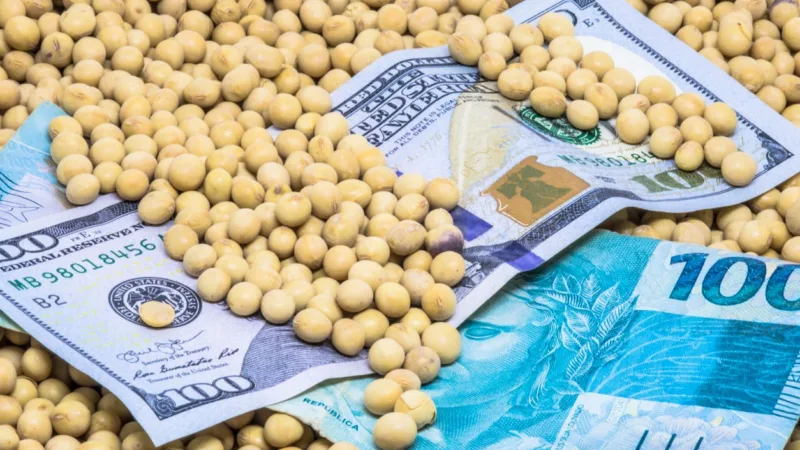 SNAG11 anuncia dividendos de 17,52% ao ano; veja valor