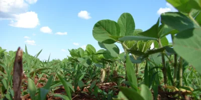SNFZ11 dobra patrimônio com oferta; veja valor captado