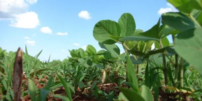 OIAG11: Fiagro anuncia investimento milionário e eleva alocação para 96,1%; veja detalhes