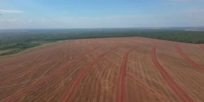 SNFZ11: Fiagro paga dividendos de 0,96% ao mês; confira valor e detalhes do mês