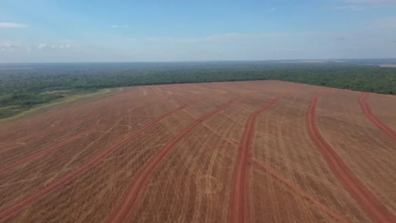 SNFZ11: Fiagro paga dividendos de 0,96% ao mês; confira valor e detalhes do mês