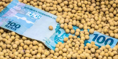 SNFZ11: Fiagro pagará dividendos de 1,01%; veja quem recebe