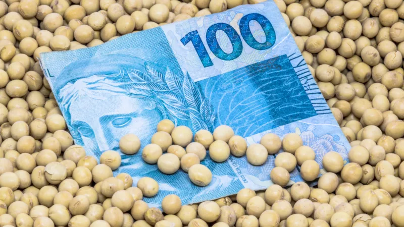 KNCA11 corta dividendos em 12,17%; veja o valor para dezembro