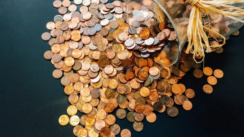 VINO11 anuncia novo pagamento de dividendos para dezembro; veja valor