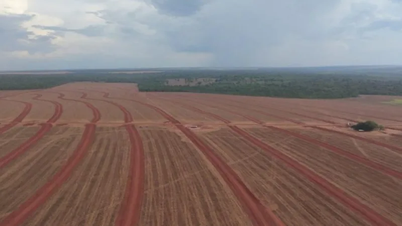 SNFZ11 dobra liquidez e atinge marca importante de cotistas