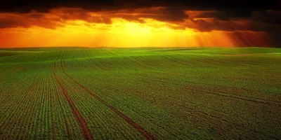 OIAG11: Fiagro mantém foco em crédito, paga dividendos e reforça reserva; veja números