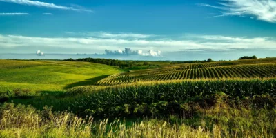 SNFZ11: Lucro de Fiagro dispara 93% e yield chega a 12,82% ao ano