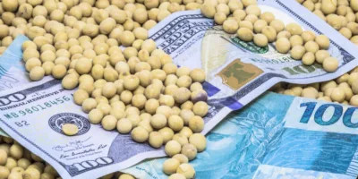 SNAG11 fecha 2025 na máxima histórica e entrega retorno total acima de 40%