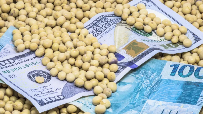 SNAG11 fecha 2025 na máxima histórica e entrega retorno total acima de 40%