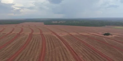 SNFZ11 mantém R$ 0,10 por cota em dividendos pelo sétimo mês seguido