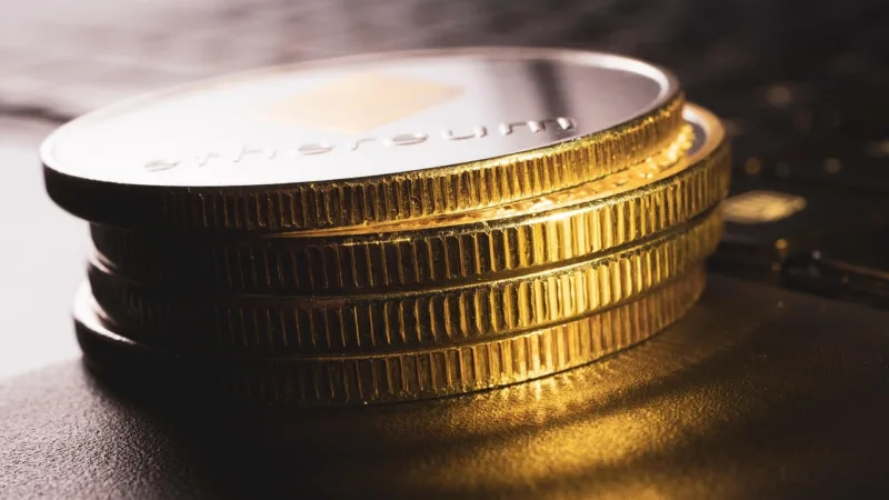 PATL11 eleva proventos e mantém estabilidade na carteira