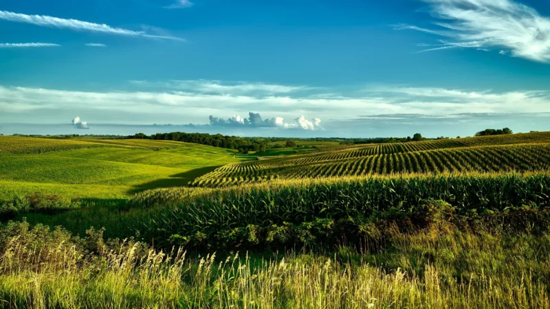 RZAG11 eleva distribuição e reforça garantias em meio à RJ