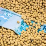 SNAG11 aumenta proventos para R$ 0,20 e yield de 1,80%