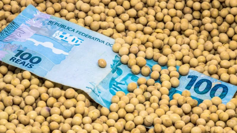 SNAG11 aumenta proventos para R$ 0,20 e yield de 1,80%