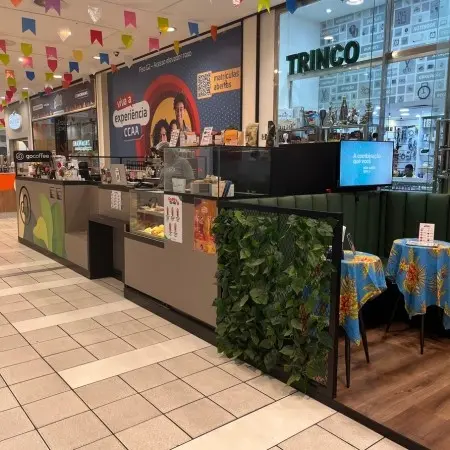 VISC11 supera rendimento com resultado de R$ 1,17 por cota em jan