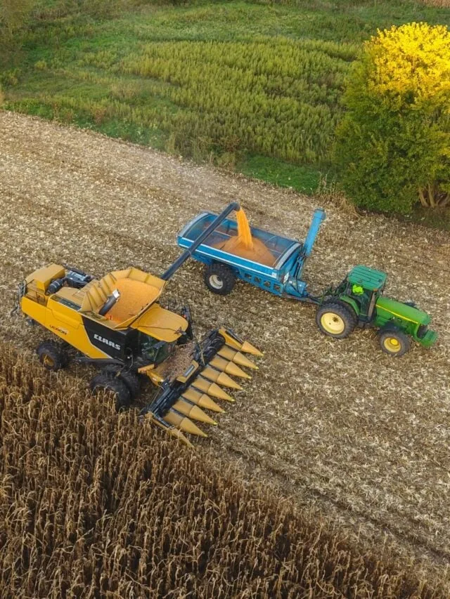 SNFZ11 fecha 2025 com dividendo firme e expansão de base