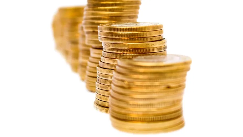 SNME11 paga R$ 0,10 por cota e reforça escala com incorporação