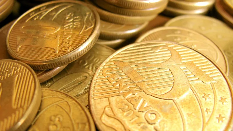 Dividendos hoje: 14 FIIs pagam até R$ 1,73 por cota