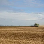 Fiagros somam R$ 11,7 bi e ganham 7,5 mil investidores em jan/26